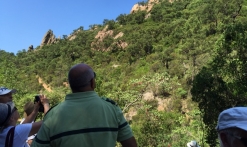 Balade pédestre avec l'Office National des Forêts dans l'Esterel