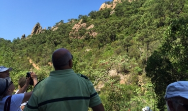 Balade pédestre avec l'ONF et le Comité Communal des Feux de Forêt - Le Var, la semaine Nature!