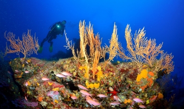 Prima immersione di Port Fréjus Plongée