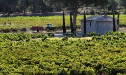 Visite audio et pétanque by Le Clos des Roses