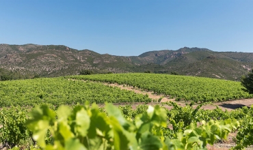 Dégustez avec la balade VTTAE vinicole - Le Var, la Semaine Nature !