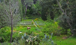 Journée Parcs et jardins