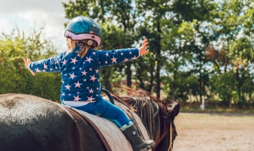 Baby pony