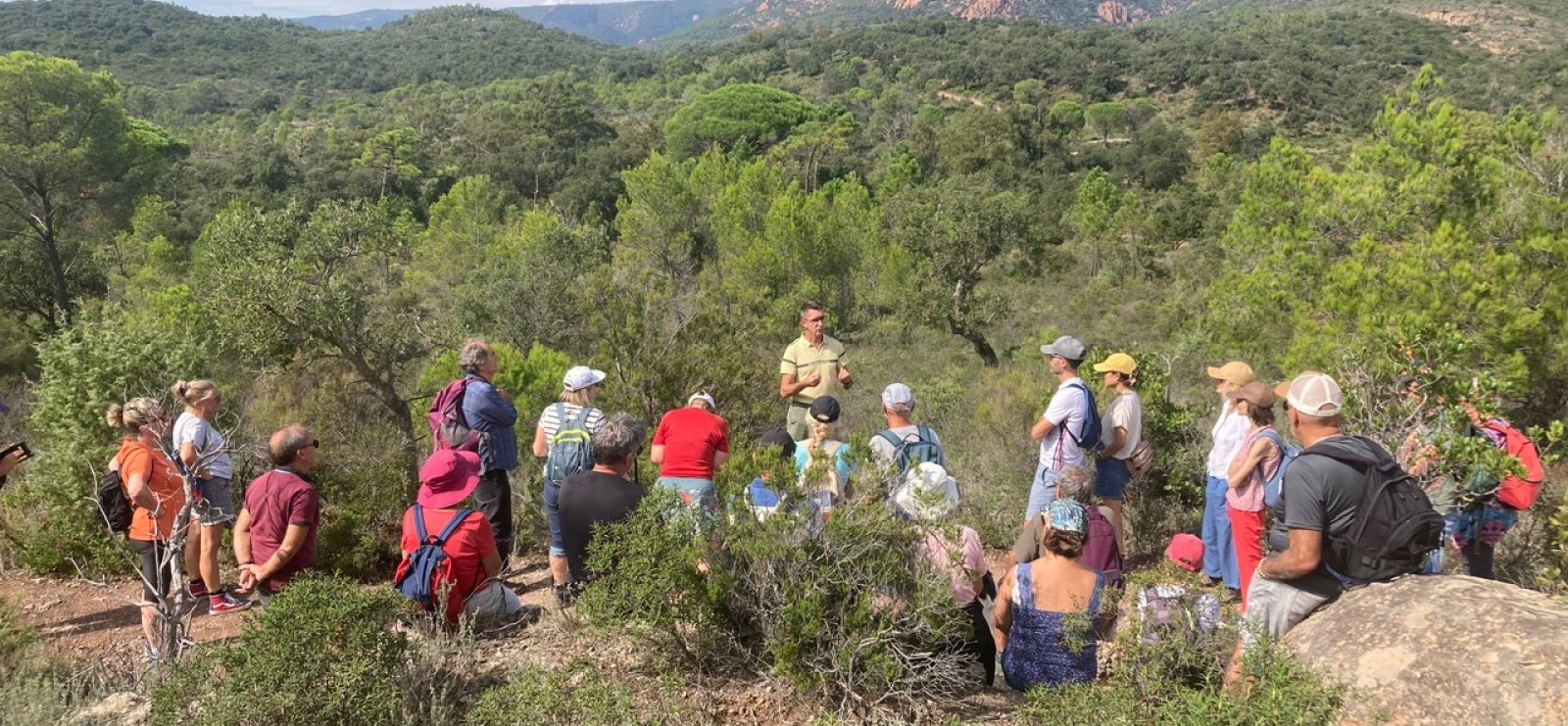 Balade pédestre avec l'Office National des Forêts dans l'Esterel