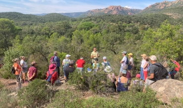 Balade pédestre avec l'Office National des Forêts dans l'Esterel