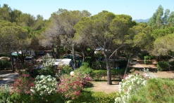 Camping la Baume la Palmeraie Fréjus exterieurs