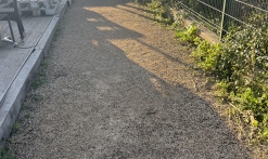 Pétanque