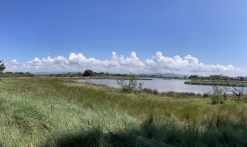 Balade naturaliste des étangs de Villepey by les balades d'Alex