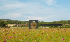 Visite audio et pétanque by Le Clos des Roses