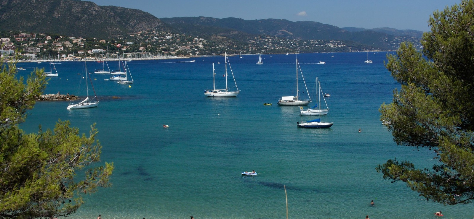 Journée Groupes Le Lavandou et Bormes Les mimosas, grain de sable et de mimosa