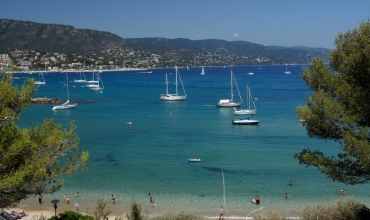 Journée Groupes Le Lavandou et Bormes Les mimosas, grain de sable et de mimosa