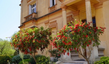 Visite guidée - Villa aurélienne Fréjus