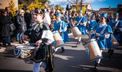 Fête du mimosa de Tanneron