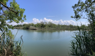 Balade naturaliste des étangs de Villepey by les balades d'Alex