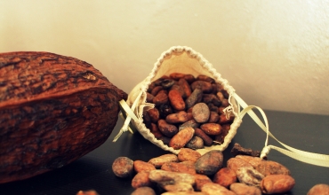 fève de cacao